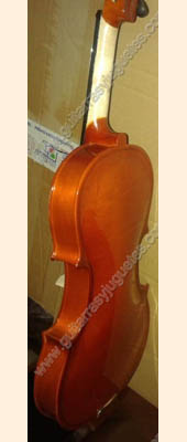 Violin economico 2